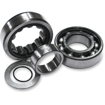 Twin cam outter cam bearings